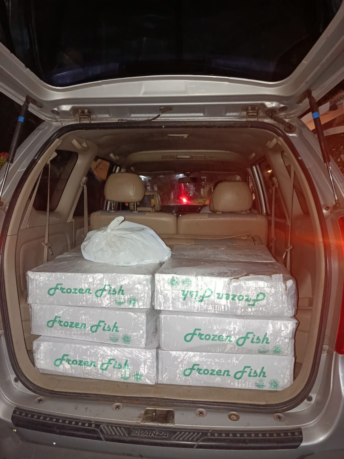 Pengiriman ikan salem frozen untuk hotel berbintang