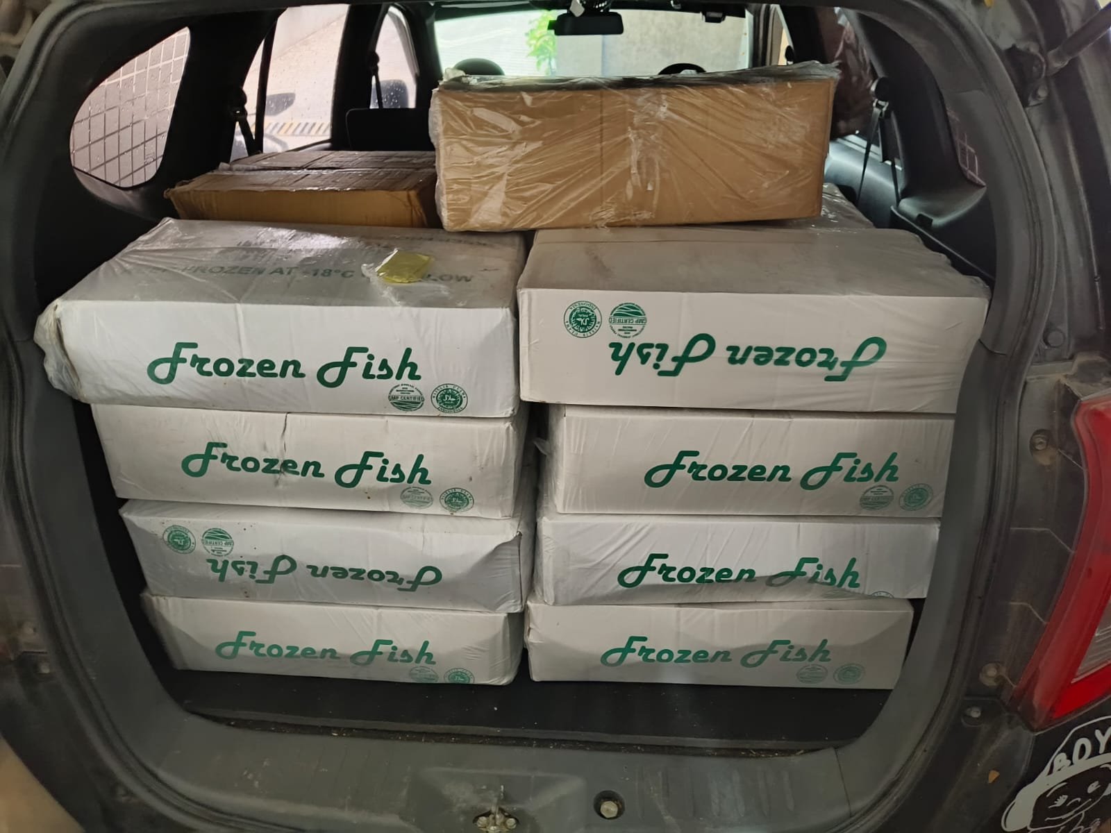 Pengiriman ikan salem dari supplier ke cafe Jakarta