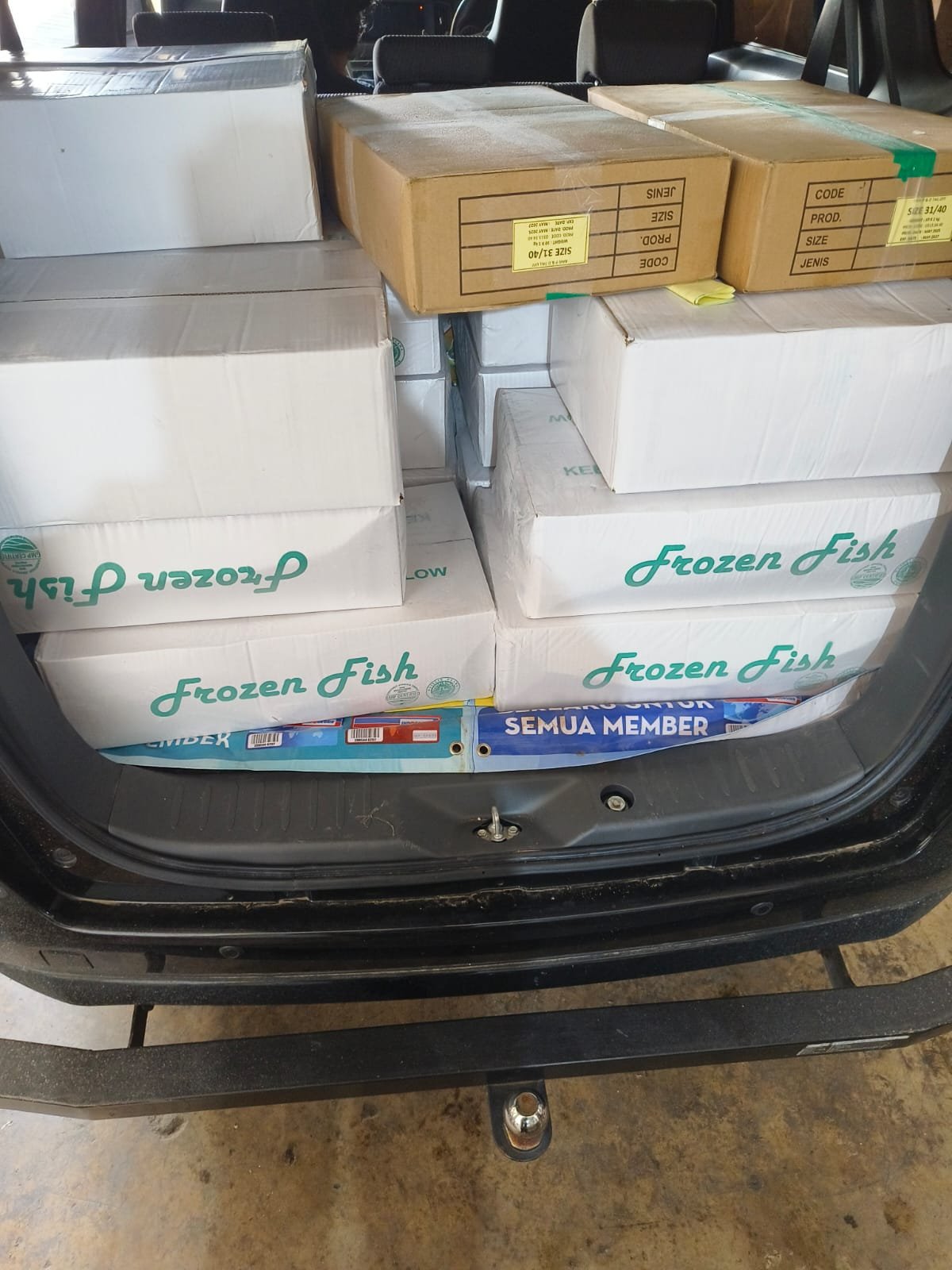 Proses pengiriman ikan salem frozen grosir SS Jakarta