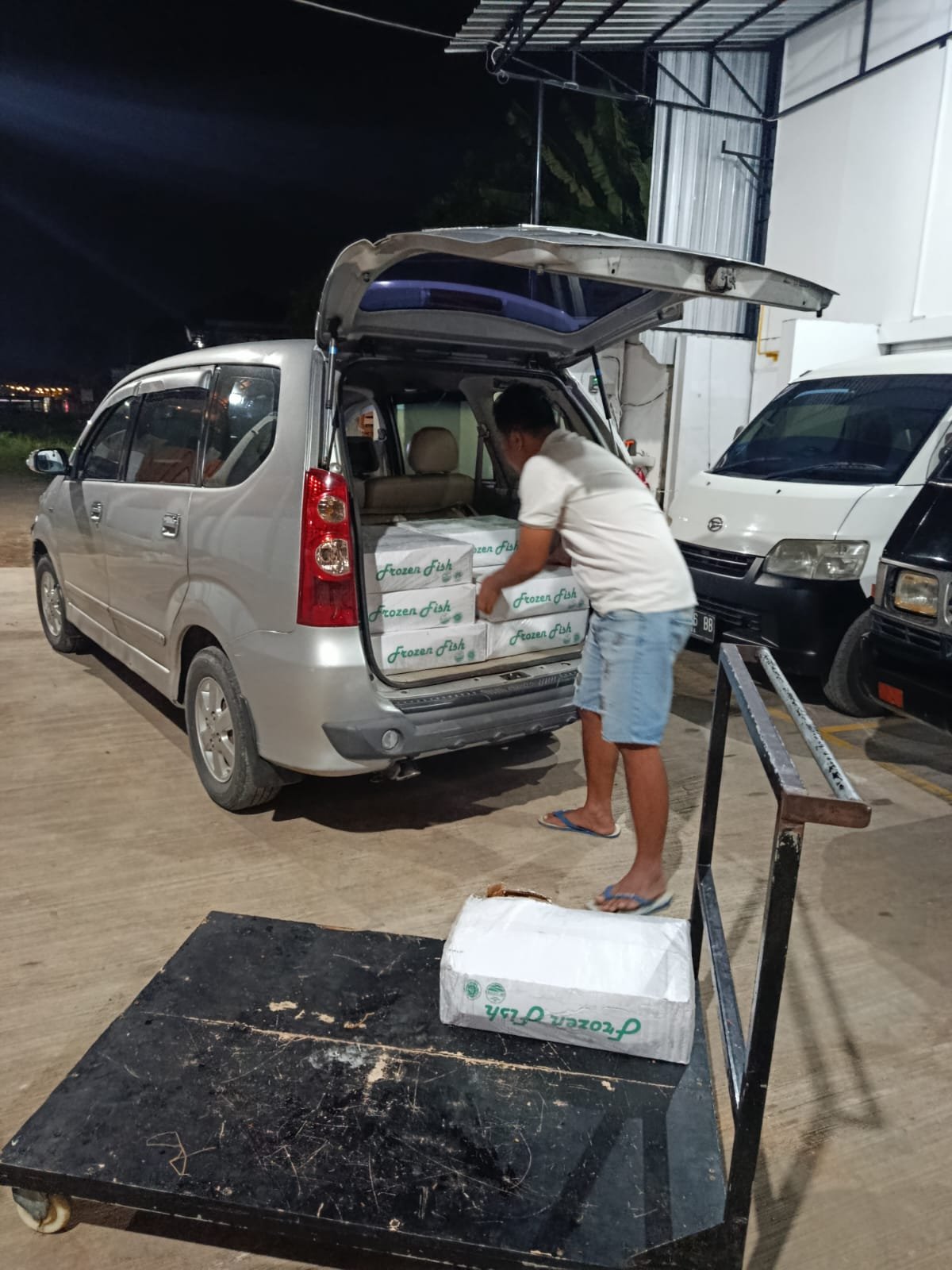 Armada pengiriman ikan salem frozen ke Jabodetabek SS Jakarta