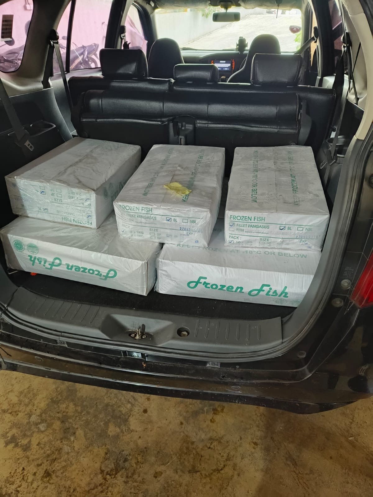 Tips cara menyimpan dan distribusi ikan salem frozen